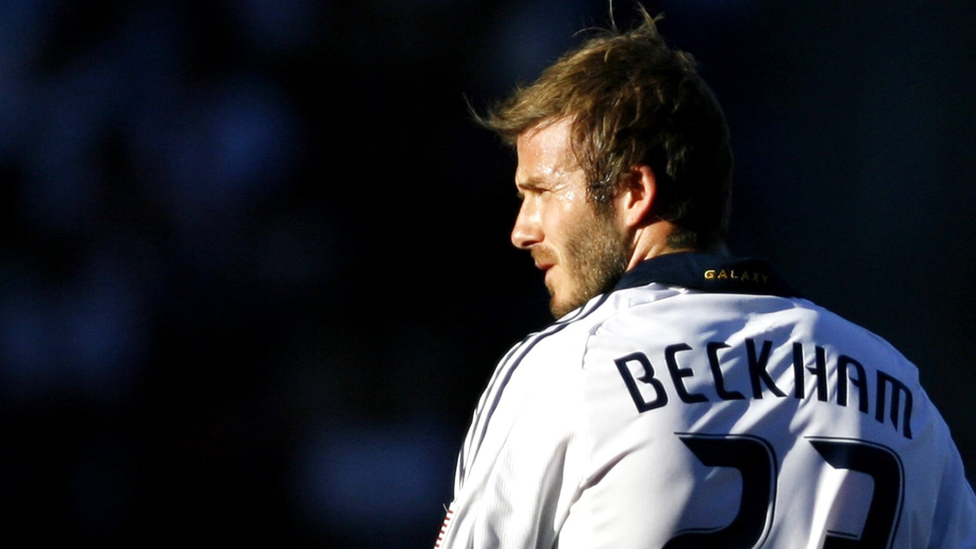 体育新闻中心参与智慧体育标准体系建设，智慧体育建设内容