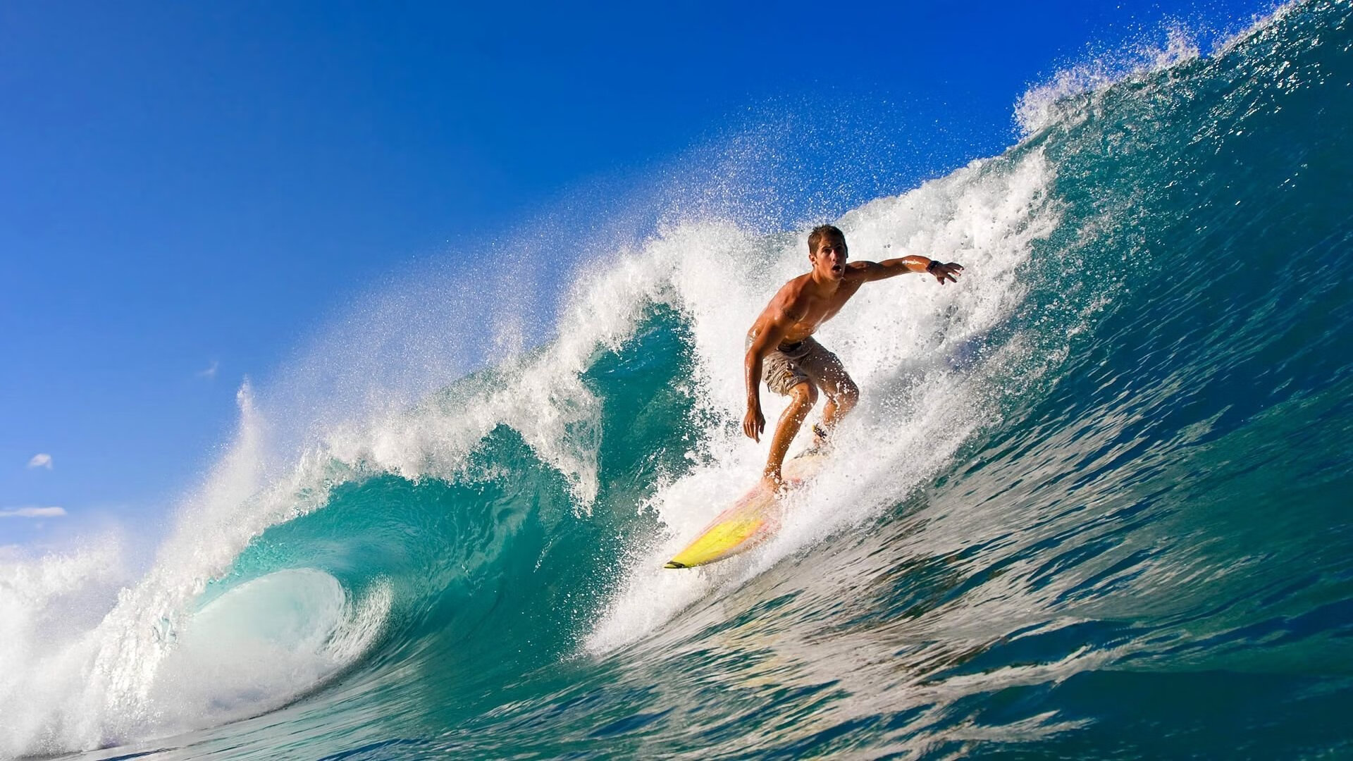 全运会赛事口号发布体现时代精神，全运会赛事口号发布体现时代精神的句子